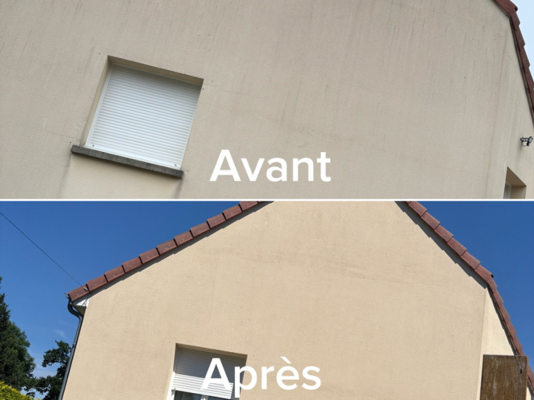nettoyage d'une façade de maison. Une photo d'un "avant" très sale, accompagner d'un après très propre et net