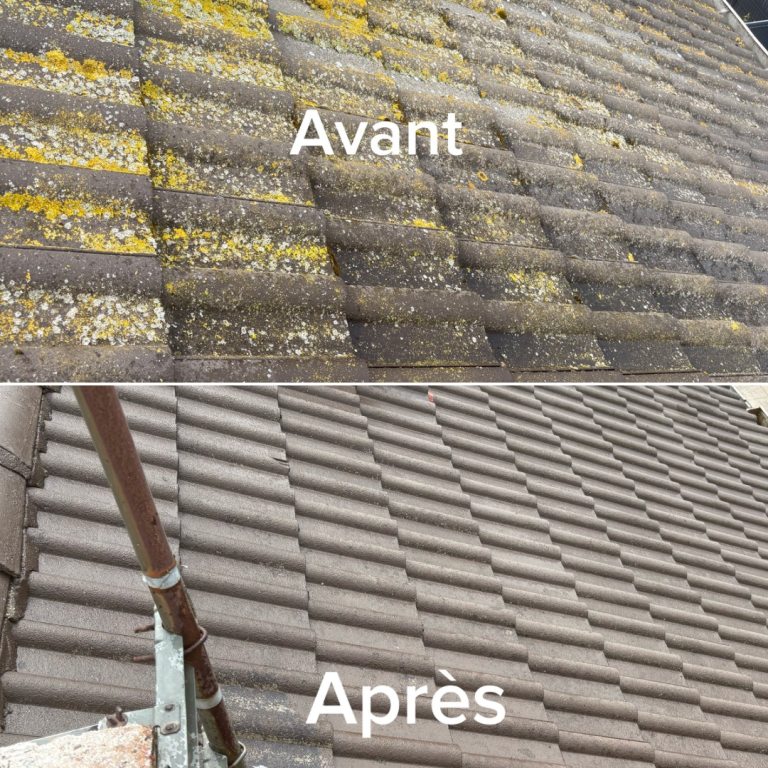 Nettoyage de toiture Avant : le toit est remplis de mousse et bien sale. Après très propre et net